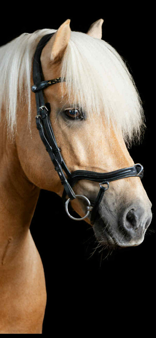comfort lux anatomisk næsebånd med ring