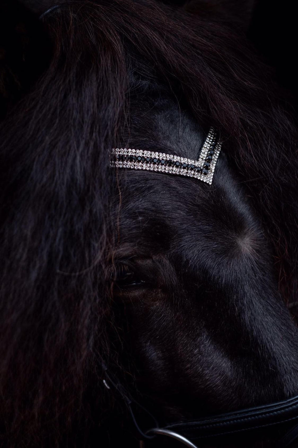 pandebånd, Stirnrimen, Browband