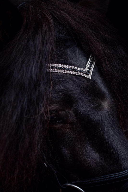 pandebånd, Stirnrimen, Browband