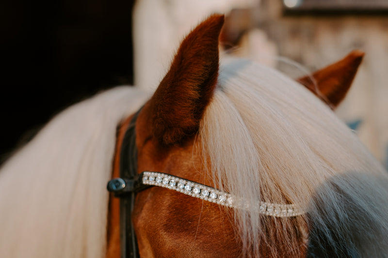 pearl, browband, pandebånd