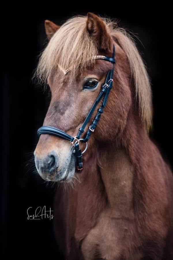 RoseGold Comfort Lux komplet trense
