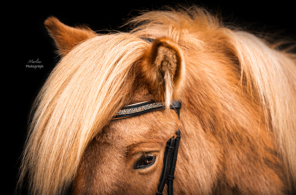 rosegold bling pandebånd, browband